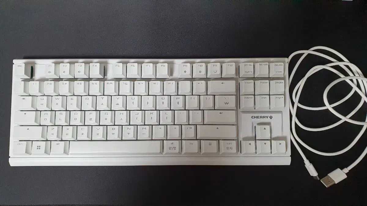 체리 mx 1.1 tkl 갈축 화이트